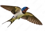 1000_F_1828006548_9g8Edgh2vM4VtuP78nit0gy35nIILtzs.jpg